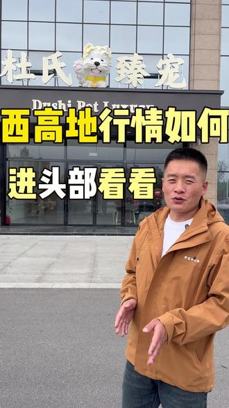 宠物繁育西高地行情如何,还能不能入手呢 宠物繁育西高地行情如何,还能不能入手呢 #狗狗#自繁自养#狗霸天繁殖粮#狗霸天奶糕粮#农村创业养殖