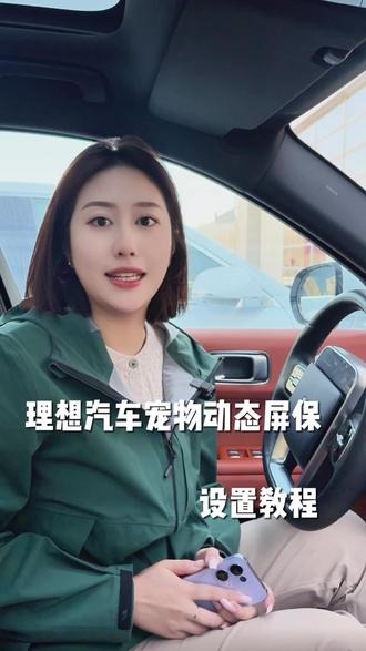 理想汽车宠物动态屏保教程来啦#虽迟必到 #理想汽车 #理想销售