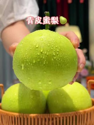 这个梨真的可以多吃点,头茬现摘梨子,口感脆甜,一点渣都没有,又脆又甜!#新鲜采摘 #果园直发