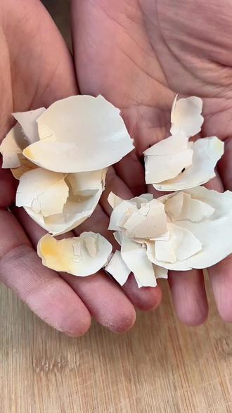 鸡蛋壳千万别再丢了,把它放瓦片上烤一烤,你了解它的价值吗#强烈推荐 #实用小技巧 #鸡蛋 #涨知识 #内容启发搜索