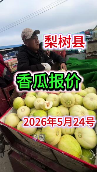 吉林省梨树县杨家村香瓜大市场,梨树优质农产品鲜瓜,每天在这里成绩量巨大,今年的香瓜价格非常非常的低,希望各地老板来梨树发财,祝老百姓一臂之力老百姓谢谢你们#香瓜甜瓜 #优质农产品#抖音助农