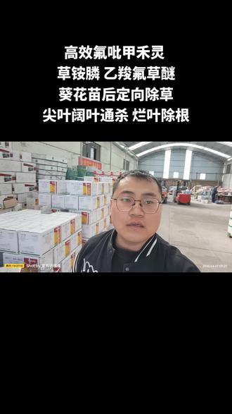葵花苗后定向除草 禾阔双除 烂叶除根 成本低!!!#农资经销 #关注我每天为你分享更多农业知识 #葵花除草 #我的农资之路