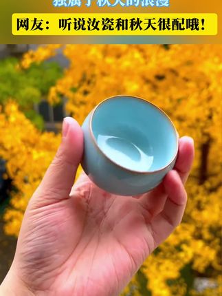 听说汝瓷和秋天更配哦!#汝瓷 #汝窑 #廷怀窑 4
