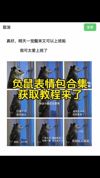负鼠上班表情包合集 负鼠表情包合集 负鼠表情包原图 打工人搞笑图片 上班人的精神状态 打工人忙碌图片#负鼠表情包 #负鼠上班表情包 #上班人的精神状态图片 #打工人忙碌图片 #负鼠上班表情包合集
