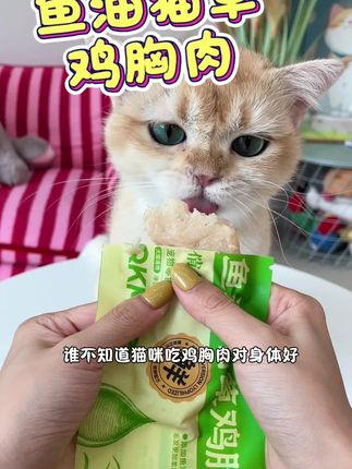 质量很好,没异味,鸡肉很嫩滑,猫咪很喜欢吃!#萌宠必备 #萌宠 #宠物零食 #吃货猫 #科学养宠攻略
