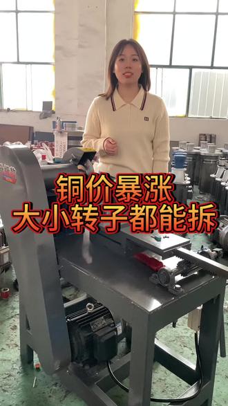 #转子 #吊扇#差速电机 #电动车后轮电机 #转子切割机 大小转子通拆