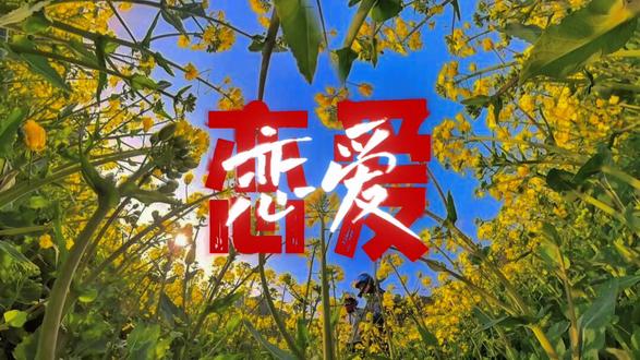 今年好好干,努力瘦,争取买个碎花裙,我要看看 Polo衫能有多深情#碎花裙 #polo衫 #恋爱