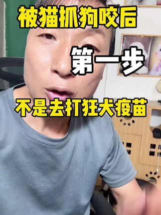猫抓狗咬后第一步不是去打狂犬疫苗
