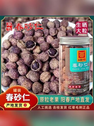 阳春春砂仁产地直销砂仁粉煲汤蒸排骨阳春春砂仁砂仁猪肚煲鸡汤