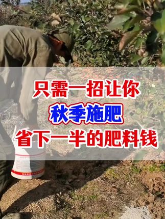 #果树施肥#不开沟不旋耕#尿素复合肥#花芽分化膨果增甜