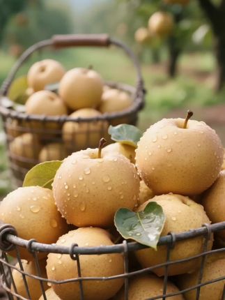 秋天到了,快来尝一尝我们的秋月梨吧!它产自山东莱阳,口感像冰糖一样甜,咬一口就能感受到满满的果肉,香甜可口,让人回味无穷。无论是自己吃还是送人都是不错的选择哦!喜欢吃甜的朋友一定不要错过了,这么好吃的秋月梨,你们还在犹豫什么?赶快点击链接购买吧#快来一起尝个鲜 #应季水果 #每日分享 #看过来 #口感好