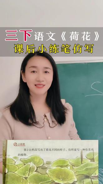 荷花小练笔仿写