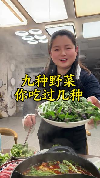 我敢说,绝对没有人吃过这9️⃣种野菜。最多不超过三种。#野菜大全 #荠菜#野菜火锅