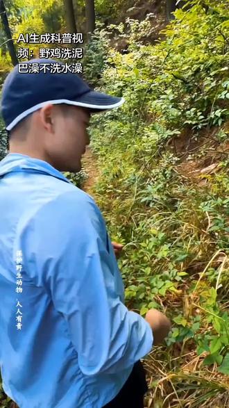 AI生成刀疤哥科普视频:野鸡洗泥巴澡不洗水澡 野鸡为啥从不泡水洗澡,偏偏爱滚泥巴沙浴?
不是不爱干净,是生存智慧拉满!
沙土磨掉羽毛里的螨虫跳蚤,天然磨砂去虫害;
裹一层细泥护住羽毛油脂,保暖又防水;
远离水边天敌埋伏,就地沙浴更安全。
万物皆有灵性,每一种习性都是大自普然的生存法则#山地野鸡 #刀疤哥#刀疤哥科谱 @山水刀疤哥