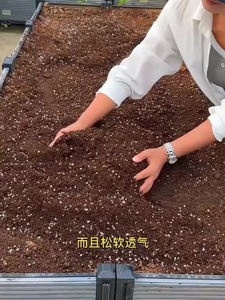 营养土通用型品牌种菜专用花土花肥土壤种植土月季盆栽泥土大包土#营养土 #营养土推荐 #营养土种菜 #花肥 #花肥推荐
