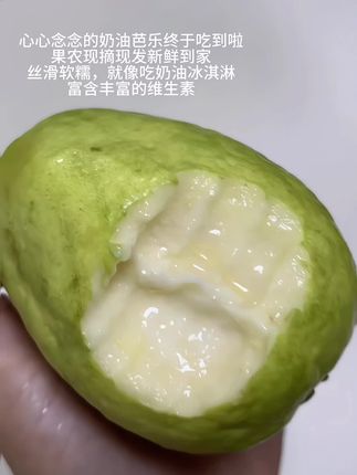 好吃我都说累了,冰淇淋口感的奶油芭乐,吃一次就爱上!#芭乐#红心芭乐 #奶油芭乐#新鲜应季水果#口感特别好