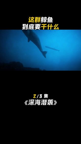 这群鲸鱼到底要干什么 #影视解说 #极寒潜袭 #我的观影报告