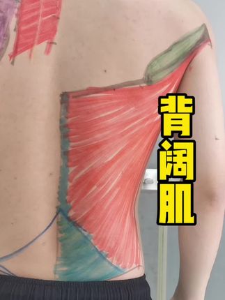 心心念念的背阔肌来咯