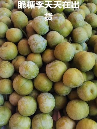 特大果#优质农产品 #快来一起尝个鲜 #口感特别好 #想吃你就来 #应季水果