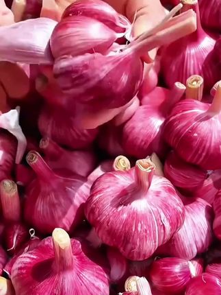 新货农家干大蒜#大蒜 #干大蒜 #紫皮大蒜 #农家干大蒜