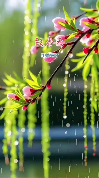 #现代诗 #致春天 | 春的序曲,在寂静中奏响了生命复苏的乐章,在荒芜中绽放出最灿烂的笑容,让心灵在这春光与花朵中找到宁静和自由。#诗歌 #春天 #赏花🌸听歌🎶 @