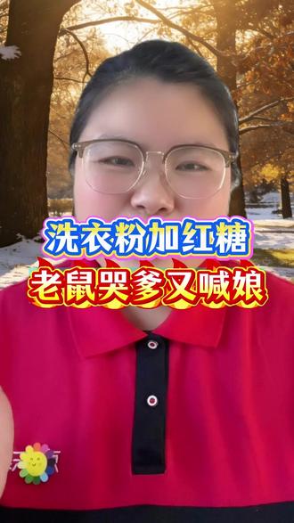 家里有老鼠怎么办? #灭鼠 #除四害 #老鼠 #灭鼠方法