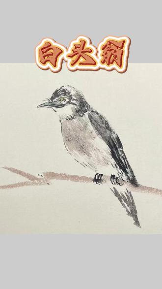 看好啦!毛笔这样“擦”一下,小鸟的绒毛感就出来了 #国画 #写意花鸟 #白头翁 #国画教学 #传统文化