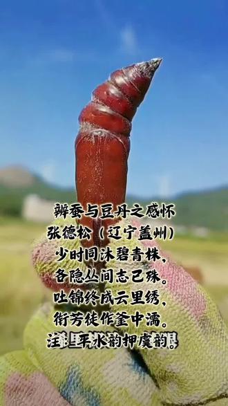 辨蚕与豆丹之感怀
张德松(辽宁盖州)
少时同沐碧青株,各隐丛间志已殊。
吐锦终成云里绣,衔芳徒作釜中濡。
注:平水韵押虞韵。
东北农村像柞蚕的虫子学名是豆天蛾幼虫(豆丹),其实它是江苏连云港、淮安等地的传统珍馐。当地以之烹羹,味比蟹脂,尤以灌云豆丹最为著名。此虫食大豆叶片而生,北方视作害虫,江淮人却慧眼识珍,恰应诗中“殊途”之旨——同一事物在不同境遇中,价值竟有天壤之别。
《辨蚕与豆丹之感怀》是盖州张德松创作的一首咏物喻理之作,原文如下:
少时同沐碧青株,各隐丛间志已殊。
吐锦终成云里绣,衔芳徒作釜中濡。
笔者以东北柞蚕与江淮豆丹的殊途命运为镜,照见世间万物因境遇不同而价值迥异之理,寄慨遥深。以下从立意、手法、注评关联三方面细析:
一、立意深刻:双线交织见哲思
诗中“同沐碧青株”暗含“万物同源”之理,而“志已殊”三字陡然转折,引出命运分岔之路。柞蚕“吐锦成绣”指向精神价值的实现(丝绸文化),豆丹“衔芳作濡”则指向物质价值的终结(成为食材),二者形成“升华”与“牺牲”的鲜明对照。此差异非生物本性所致,实为人类文明赋予的不同意义,暗合庄子“物各有用”之思,更引人思索环境对价值的重塑力量。
诗人借豆丹的结局,抒发了一种对命运的感慨。有些人(或事物)尽管拥有相似的出身和条件,但由于内在追求或外在机遇的不同,最终的命运和价值却有着天壤之别。豆丹的“徒作”表达了对这种努力归于虚无、生命价值未能升华的深深叹惋。
二、手法精妙:意象对比见匠心
1. 空间隐喻:“丛间”既是实指植物丛,亦象征原始平等的生命起点;“云里绣”与“釜中濡”则构成垂直空间的强烈对比,暗喻精神升华与尘世沉沦的二元对立。
2. 动词炼字:“隐”字双关,既描摹昆虫生态,又暗射未彰的潜能;“吐”与“衔”这对动词精准捕捉二者本质行为,蚕吐丝为创造,虫衔叶为消耗,埋下命运伏笔。
3. 色彩象征:“碧青”统一生命的原色,“锦”“绣”却绽放出文明的金色光辉,而“釜中濡”的灰暗色调不言自明,色彩流变中自有命运判词。
三、注评互文:时空对话见深意
注文以科学考据补充诗境,将“东北害虫”与“江淮珍馐”的现实反差植入文本,使虞韵的古典韵律与现代跨地域文化观察产生碰撞。这种古今对话、南北参照的结构,恰似为诗句“各隐丛间志已殊”作现实注脚,令二十八字的小诗承载起文化人类学的思考重量。#感悟生活 #原创#盖州张德松#山居诗词者原创作品