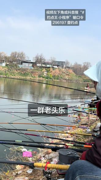 #钓点王 视频左下角或抖音搜“钓点王小程序”输口令 296197 查钓点