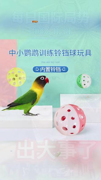 小太阳牡丹玄凤鹦鹉啃咬玩具虎皮小鸟笼子玩具解闷自嗨发声铃铛玩具球,几块钱一大包哦,家有鸟宝的快安排上吧 #笼中鹦鹉 #宠物鸟 #玩具 #玩具球 #铃铛球 抖音小助手 @DOU+小助手