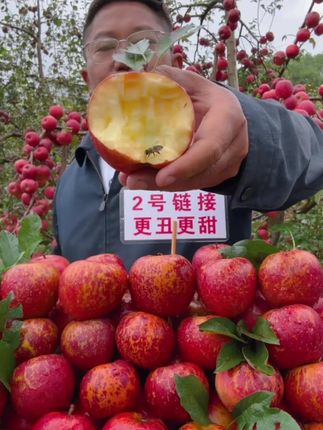 #现摘现发 #优质农产品
