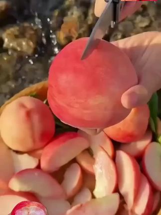一口爆汁的水蜜桃真的好好吃呀现摘现发,桃味浓郁汁水多,#水蜜桃 #新鲜应季水果 #一到夏天就想桃 #水果 #优质农产品