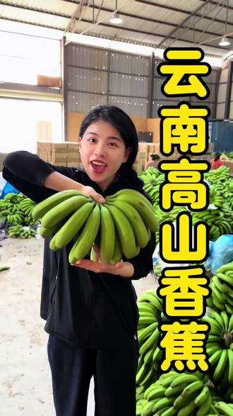 香蕉只分西双版纳的香蕉和其他!喜欢吃香蕉的姐姐们!来我直播间看看吧!#云南山地蕉 #原产地香蕉