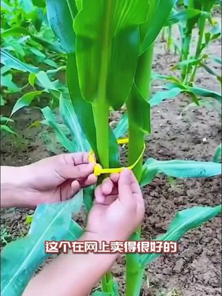 100 根尼龙扎带!松紧可调还能拆,重复用超划算~# 超值扎带 #重复使用捆扎