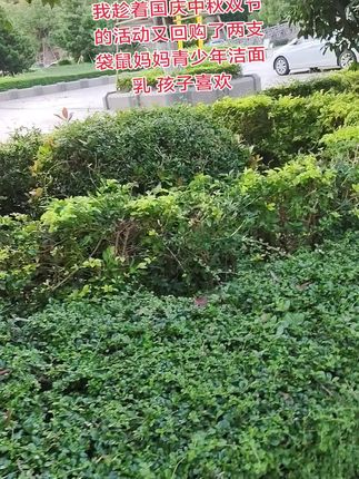我家儿子上初中后,小脸总是油光🈵面的 还总有小疙瘩,同学妈妈推荐#袋鼠妈妈#青少年洁面乳 ,真的太爱了,专为青少年设计,植物萃取控油光净毛孔,孩子很喜欢#青少年洁面乳#学生党护肤