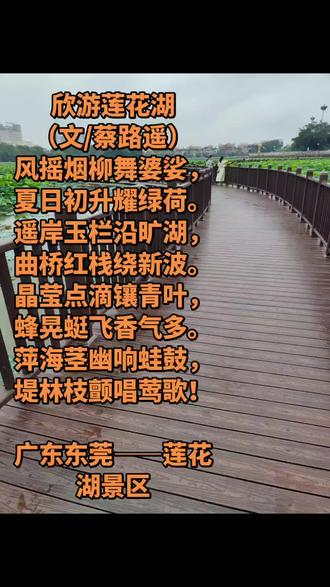 莲花山下莲花湖,观茫茫绿荷,倦意全无……好地方
!
