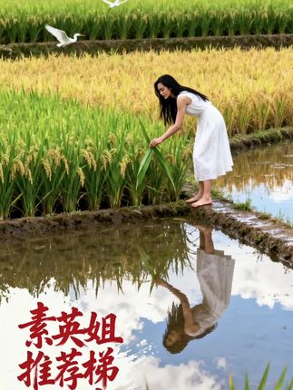 在火第二遍,贵州农家大米,下方链接有我家大米,29.9元发10斤包邮。#大米#米 #长粒香大米 #生态大米
