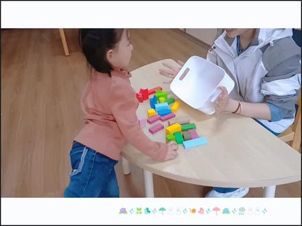 新授课复习:《按两种特征分类》