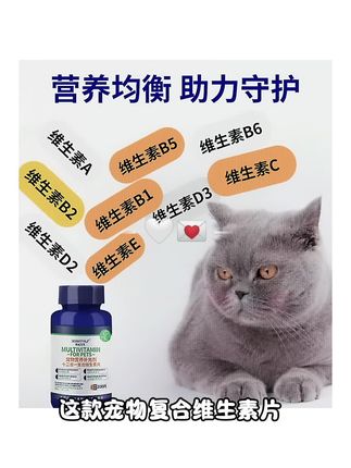 营养补充剂宠物复合维生素片200片犬猫多维补充猫咪狗狗维生素#宠物知识 #养猫新手 #宠物用品 #干货分享视频