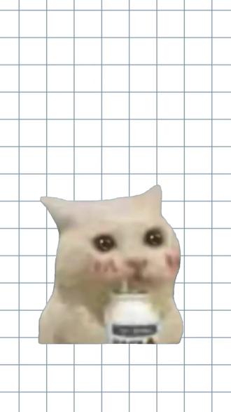 跨境电商运营面试,一句话避坑 #跨境电商运营 #求职避坑 #面试