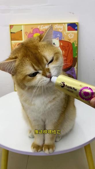 这个抒情端于绝情膏。 家里有猫猫的呀, 得赶紧囤起来了。#养宠知识 #宠物知识 #爱果萌兽 #养猫新手