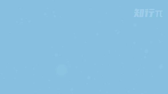 禁止废话:世界上最大的生物是蓝鲸吗?