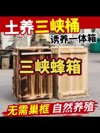 中蜂土养蜂箱立式前开门三峡蜂桶老式诱蜂箱#三峡蜂箱#蜂箱