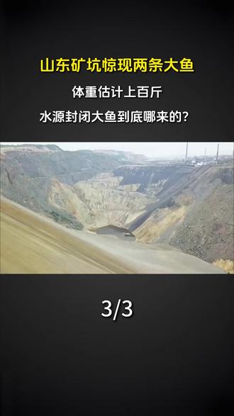 山东矿坑惊现两条大鱼,体重估计上百斤,水源封闭大鱼到底哪来的? #科普 #涨知识 #两条大鱼 #山东矿坑
