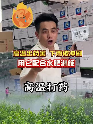 #虫害防治 #杀虫剂 #噻虫嗪 #柑橘种植 #果树种植 ,高温打药出药害,下雨被冲刷,用它配合水肥一起淋施
