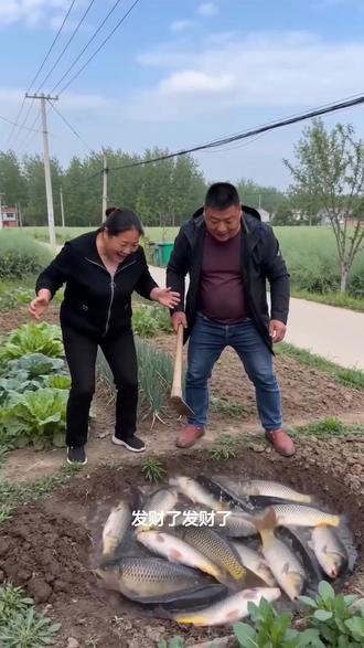 #AI菜园刨地遇鱼涌 #随变ai随便玩