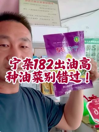 宁杂182出油高,种油菜别错过!#油菜#油菜品种#宁杂182#热门油菜#高产油菜