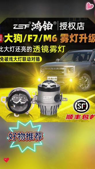 哈弗大狗双透镜激光雾灯,不破线不改线、不影响质保,亮度绝对比大灯还要亮。推荐65瓦白光和黄光,安装教程在主页置顶视频第二个或联系客服。 #哈弗大狗 #汽车用品 #雾灯