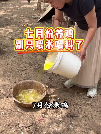 七月份养鸡,别只喂水喂料了 #鸡鸭鹅养殖#养鸡#养鸡人#养鸡小妙招#三农