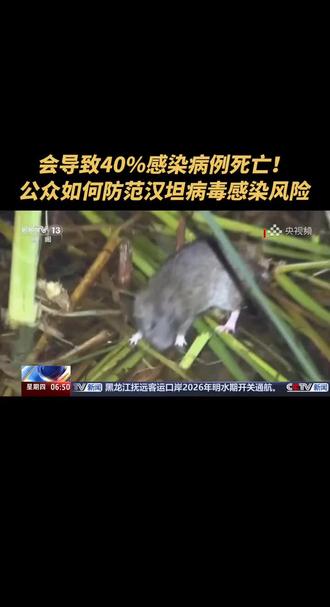 #汉坦病毒会导致40%感染病例死亡!公众如何防范感染风险?